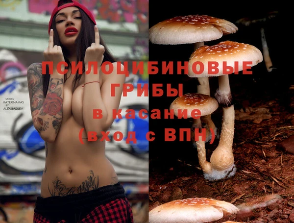 гашишное масло Вяземский