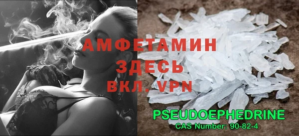 сатива Каменногорск