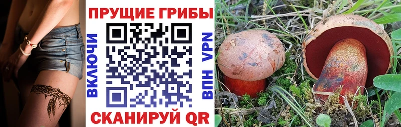 Псилоцибиновые грибы Psilocybe  хочу наркоту  Ельня 